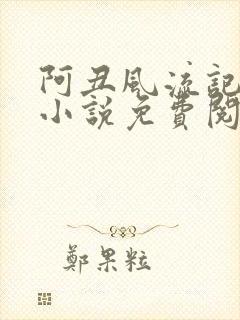 阿丑风流记原著小说免费阅读