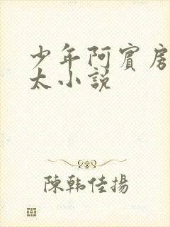 少年阿宾房东太太小说