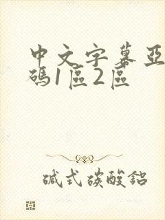 中文字幕亚洲乱码1区2区封面