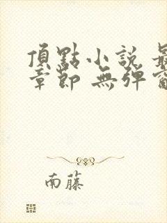 顶点小说 最新章节 无弹窗