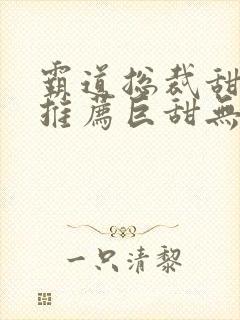 霸道总裁甜宠文推荐巨甜无虐