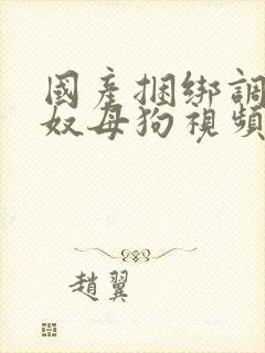 国产捆绑调教女奴母狗视频封面