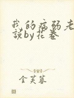我的病弱老婆小说by花卷