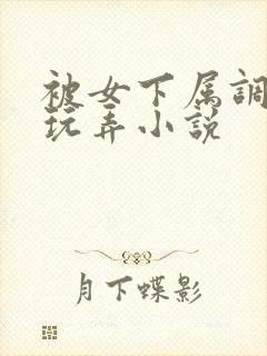 被女下属调教h玩弄小说封面