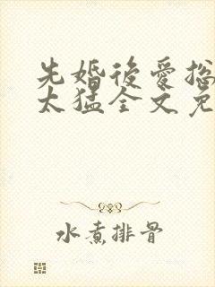 先婚后爱总裁别太猛全文免费阅读