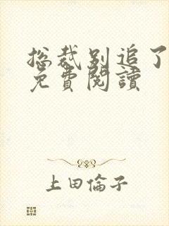 总裁别追了全文免费阅读