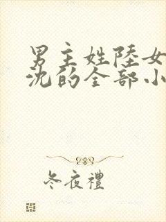 男主姓陆女主姓沈的全部小说封面