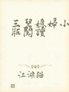 三儿媳妇小说正版阅读