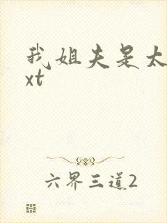 我姐夫是太子txt