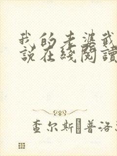 我的老婆武燕小说在线阅读封面