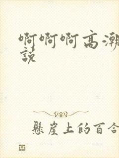 啊啊啊高潮了小说封面