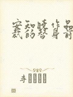 安知晓作品:总裁的替身前妻小说版封面