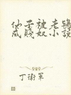 仙子被老鸨调教成贱奴小说