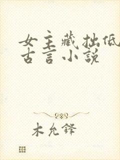 女主藏拙低调的古言小说