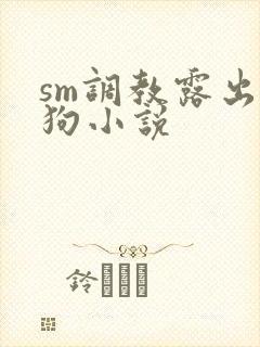 sm调教露出母狗小说