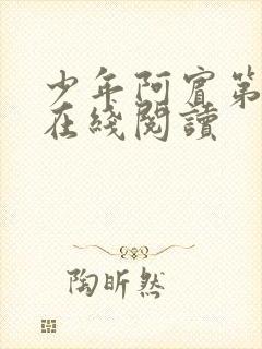 少年阿宾第二部在线阅读