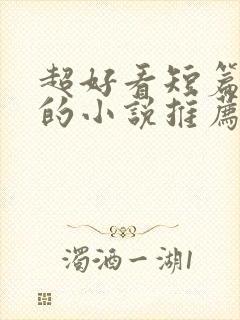 超好看短篇言情的小说推荐