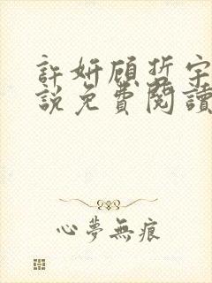 许妍顾哲宇的小说免费阅读封面