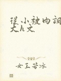 从小被肉调教到大h文封面