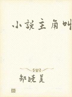 小说主角叫王林