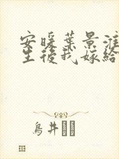 安暖叶景淮 重生后我嫁给了渣男的死对头