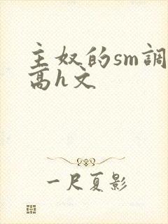 主奴的sm调教高h文