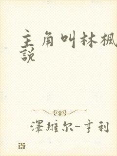 主角叫林枫的小说