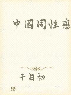 中国同性恋视频封面