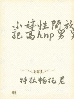 小婷性开放肉日记高hnp男男封面