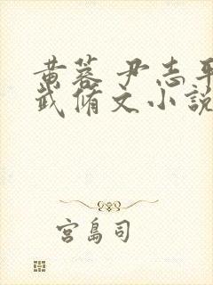 黄蓉 尹志平 武修文小说封面