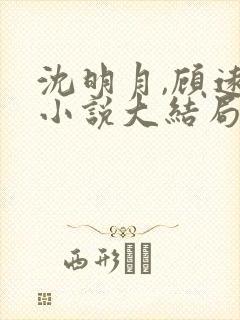 沈明月,顾远舟小说大结局