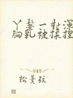 丫鬟一对浑圆的胸乳被揉捏小说封面