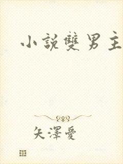 小说双男主双性