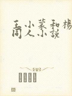 王小蒙和杨晓燕同人小说封面