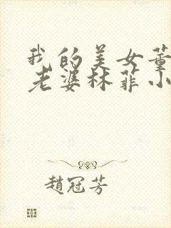 我的美女董事长老婆林菲小说封面