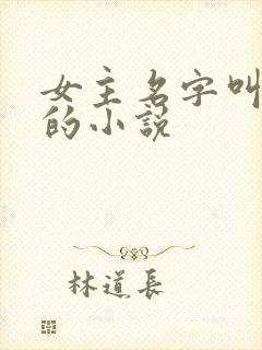 女主名字叫薇薇的小说封面