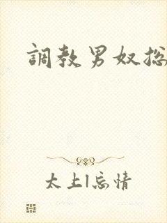 调教男奴总裁封面