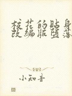 校花的贴身高手改编版堕落