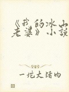 《我的冰山总裁老婆》小说封面