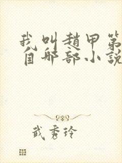 我叫赵甲第改编自哪部小说