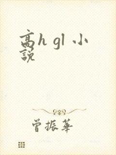 高h gl 小说