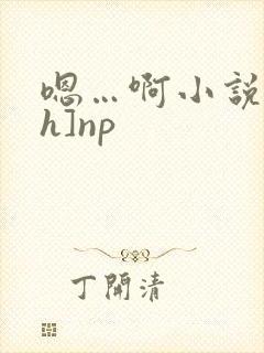 嗯…啊小说[高h]np封面