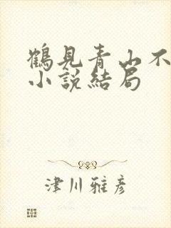 鹤见青山不见君小说结局封面