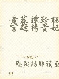 黄蓉谭干聪版《宫廷杨贵妃》封面