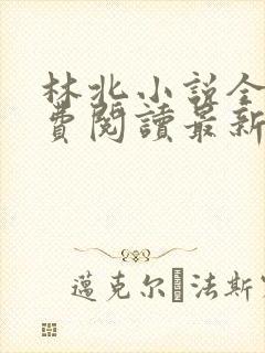 林北小说全文免费阅读最新章节封面