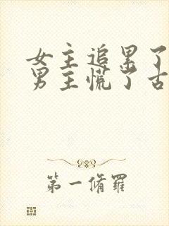 女主追累了放弃男主慌了古言封面