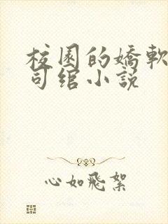 校园的娇软美人司绾小说