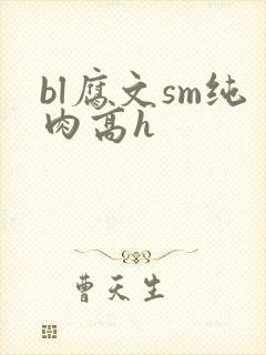 bl腐文sm纯肉高h
