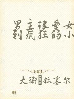 男主很爱女主爱到疯狂的小说现言