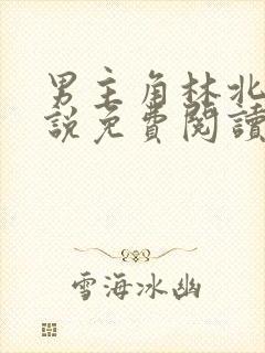 男主角林北的小说免费阅读